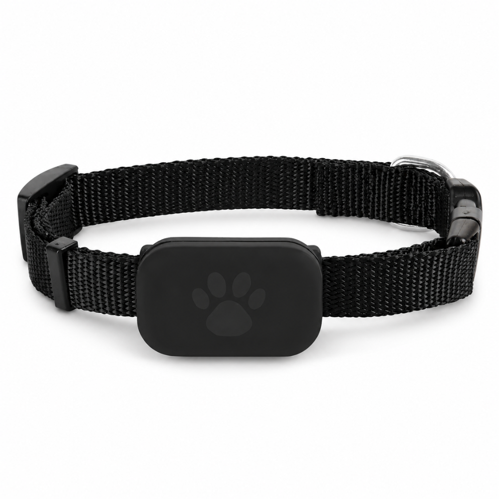 EasyTrack | Apple GPS Haustier Tracker