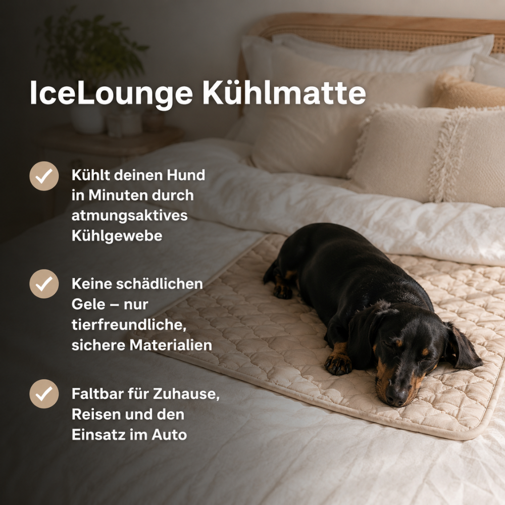 IceLounge - I Premium Kühldecke