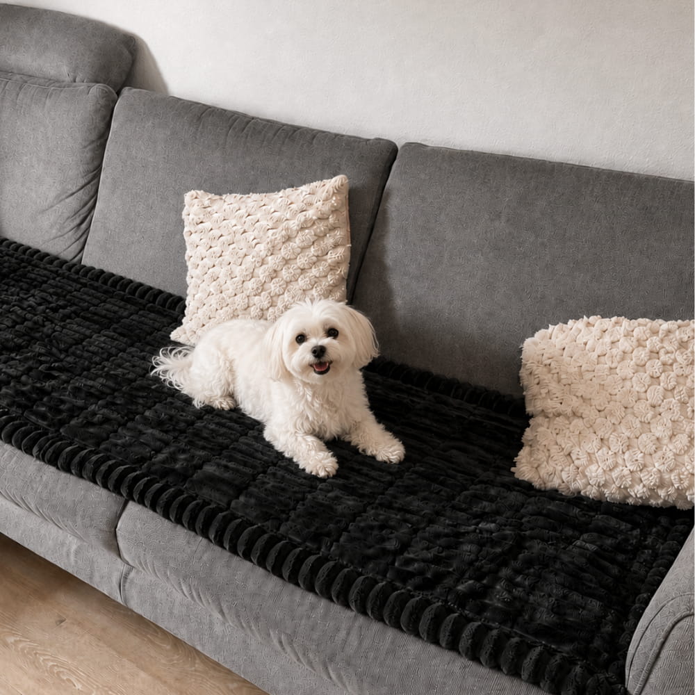 PetLounge I Premium Sofa-Schutz