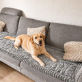 PetLounge I Premium Sofa-Schutz