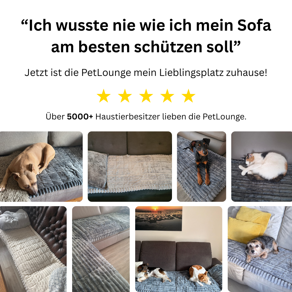 PetLounge I Premium Sofa-Schutz