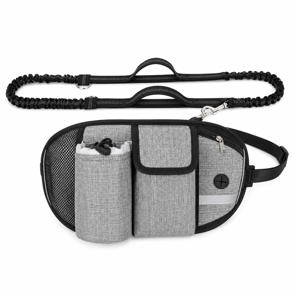 WalkBuddy | Die Gassi-Bauchtasche